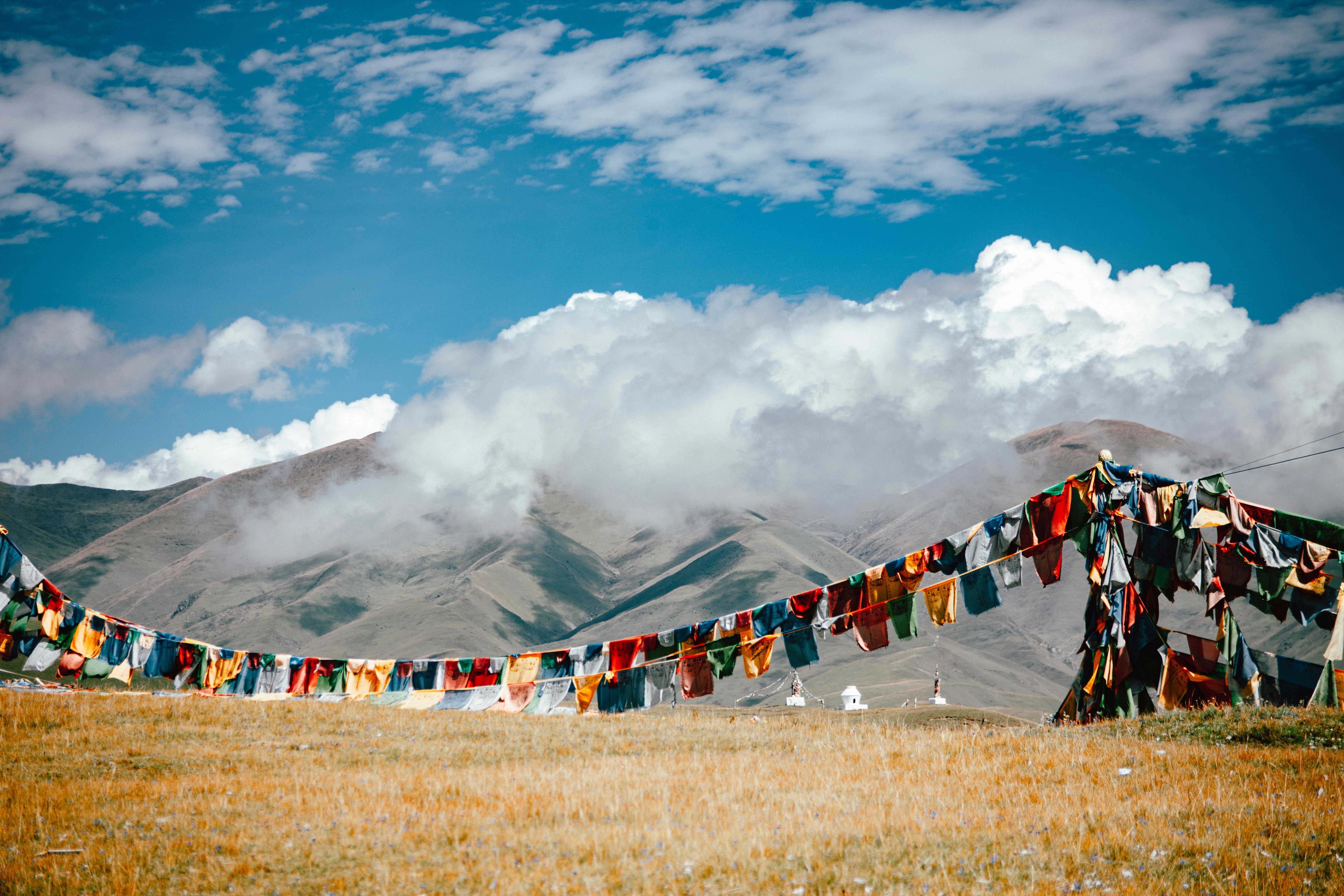 Trekkers on Himalayan trail