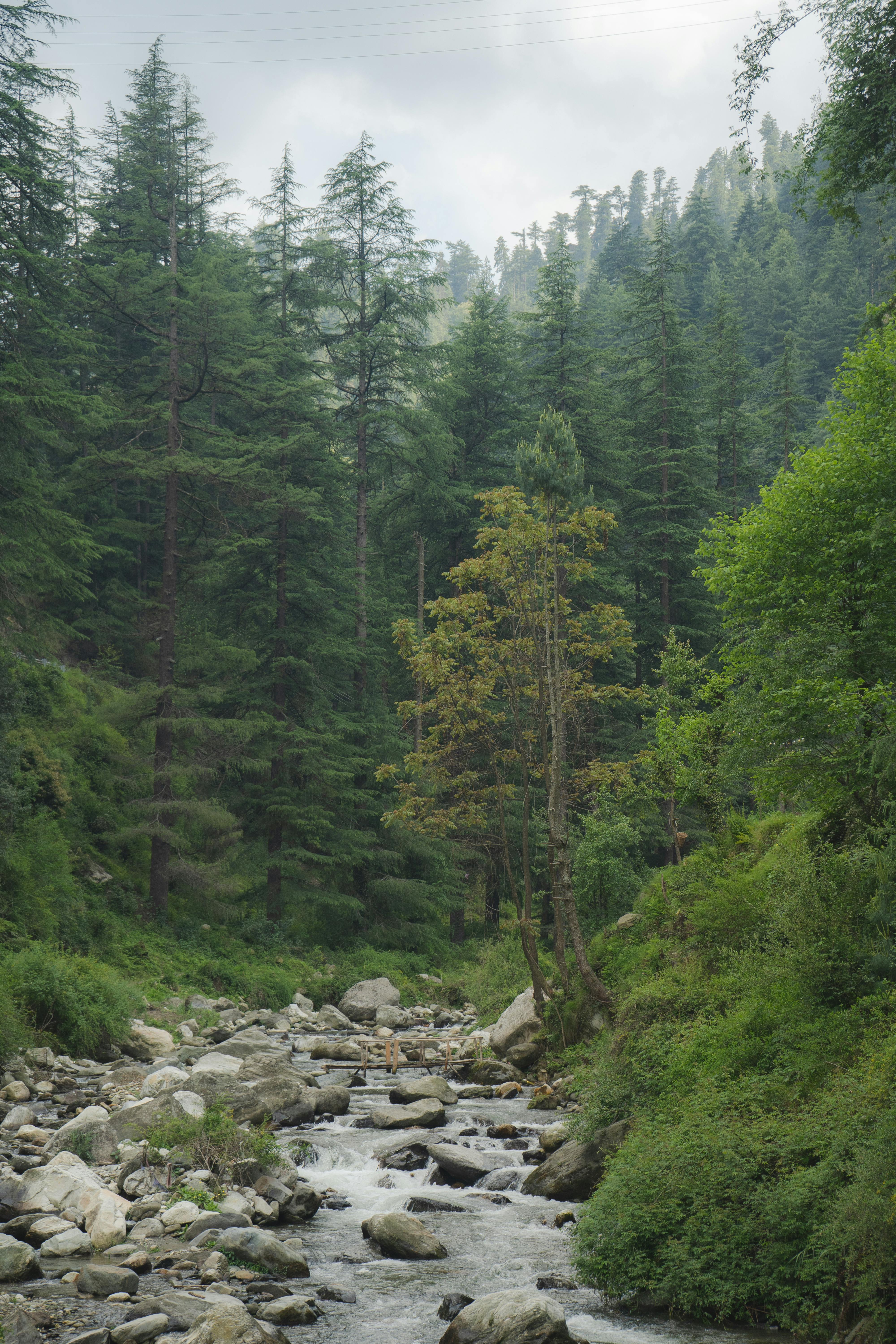 Langtang Valley Trek